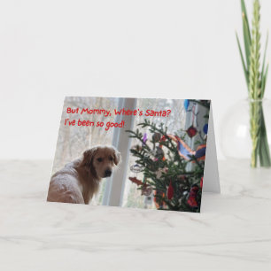 Grappig kerstkaartje, hond die op de kerstman wach kaart
