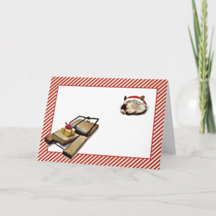 Grappig kerstkaartjes feestdagen kaart