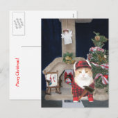 Grappig Kerstkattenappartement Feestdagenkaart (Voorkant / Achterkant)