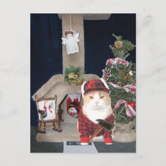 Grappig Kerstkattenappartement Feestdagenkaart (Voorkant)