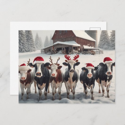 Grappig kerstKoeien Briefkaart (Voorkant / Achterkant)