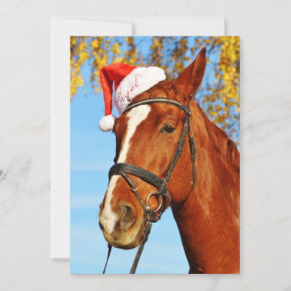 Grappig Kerstman Hoed Paard Kerstmis Feestdagenkaart
