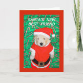 Grappig Kerstman Puppy Kerst Wenskaart Feestdagen Kaart (Voorkant)
