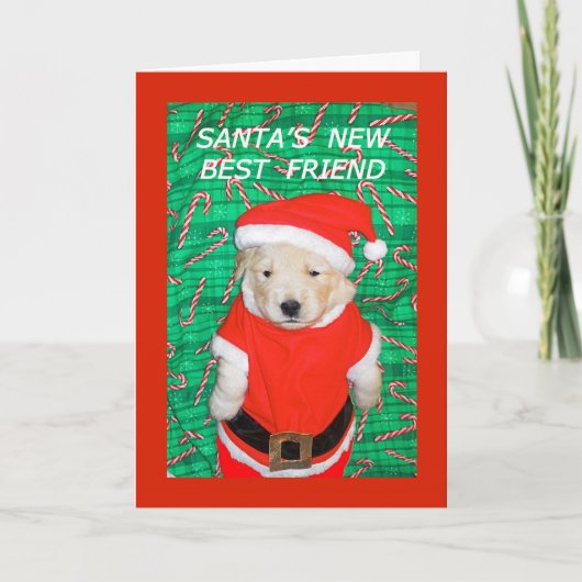 Grappig Kerstman Puppy Kerst Wenskaart Feestdagen Kaart (Voorkant)