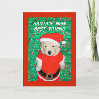 Grappig Kerstman Puppy Kerst Wenskaart Feestdagen Kaart