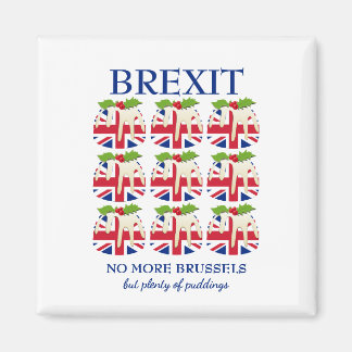 Grappig | Kerstmis | UNION JACK | BREXIT Magneet