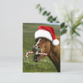Grappig kerstpaard met kersthoed briefkaart (Staand voorkant)