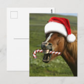 Grappig kerstpaard met kersthoed briefkaart (Voorkant / Achterkant)