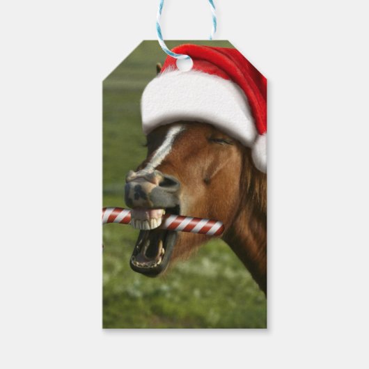 Grappig kerstpaard met kersthoed cadeaulabel (Voorkant)