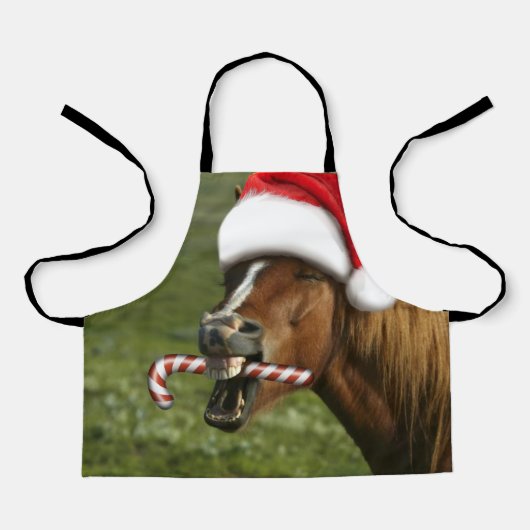 Grappig kerstpaard met kersthoed schort (Voorkant)