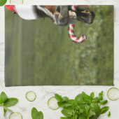 Grappig kerstpaard met kersthoed theedoek (Gevouwen)