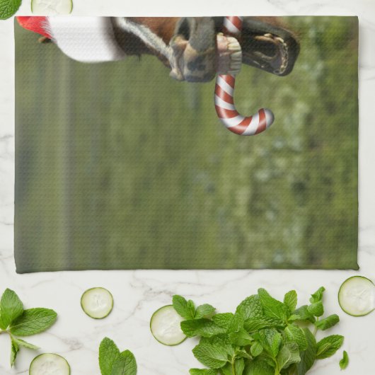 Grappig kerstpaard met kersthoed theedoek (Gevouwen)