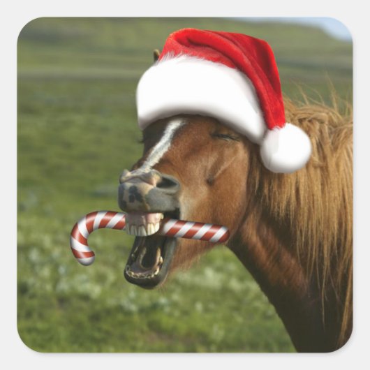 Grappig kerstpaard met kersthoed vierkante sticker (Voorkant)