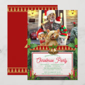 Grappig kittens op kerstdag. kaart (Voorkant / Achterkant)