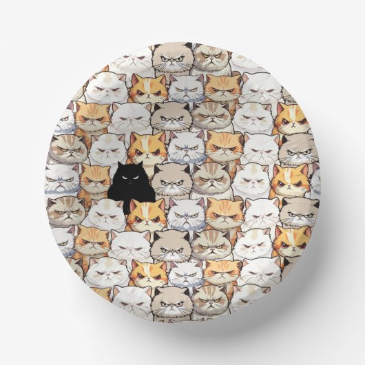 Grappig kleurrijk humeurig miauw katten kitten hui papieren kommen (Voorkant)