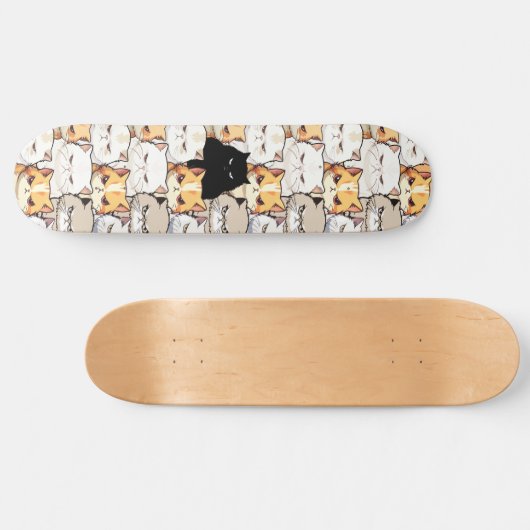 Grappig kleurrijk humeurig miauw katten kitten hui persoonlijk skateboard (Horizontaal)