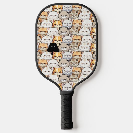 Grappig kleurrijk humeurig miauw katten kitten hui pickleball paddle (Voorkant)