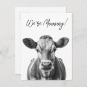 Grappig Koe dat we de aankondiging van Moving besp (Voorkant / Achterkant)