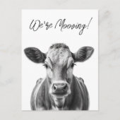 Grappig Koe dat we de aankondiging van Moving besp (Voorkant)