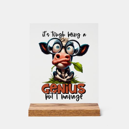 Grappig koe genie acryl bord (Voorkant)