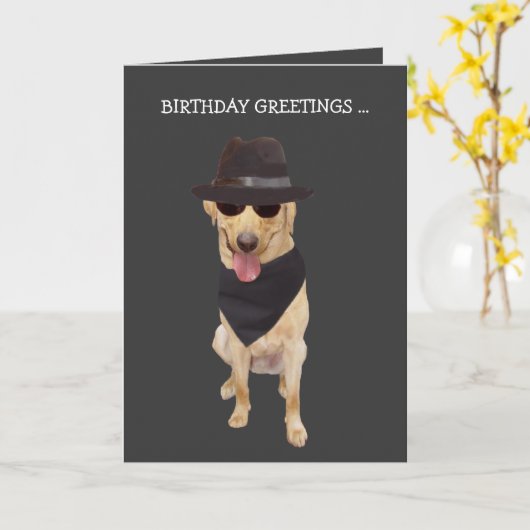 Grappig Koel Hond/Laboratorium van Groep Kaart (Gele Bloem)