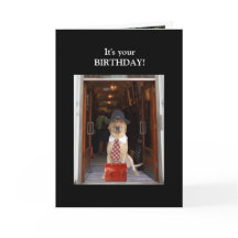 Grappig Lab Mannelijke Verjaardag