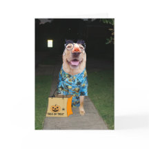 Grappig lab verkleed als menselijke Halloween-Kaar