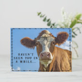 Grappig Land Westerne Ranch Boerderij Koe Bril Feestdagenkaart (Staand voorkant)