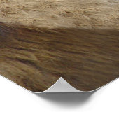 Grappig leeuwen met tongen uit Poster afdrukken (Hoek)