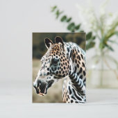 Grappig Leopard Appaloosa Paard Briefkaart (Staand voorkant)