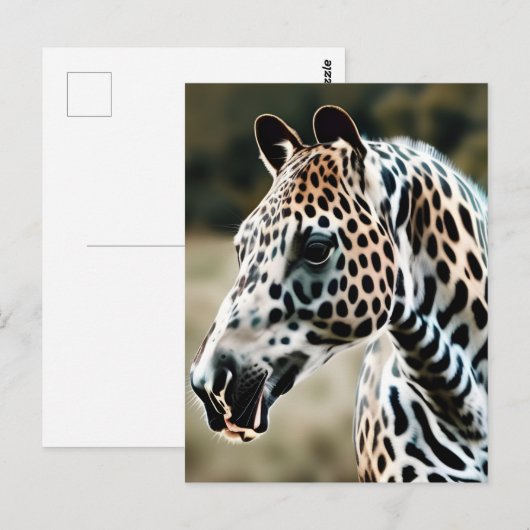 Grappig Leopard Appaloosa Paard Briefkaart (Voorkant / Achterkant)
