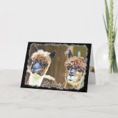 Grappig Let's Party Alpaca Verjaardag Kaart (Voorkant)