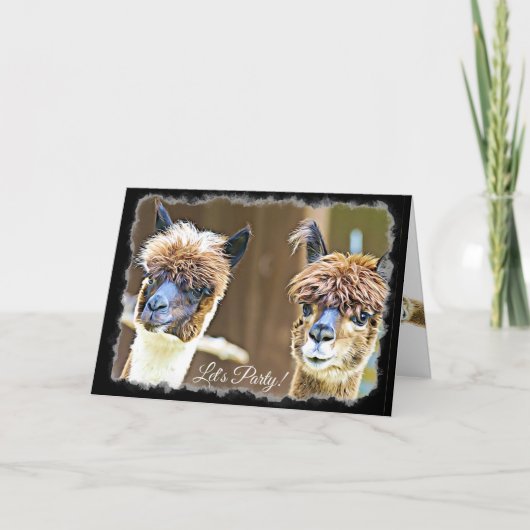 Grappig Let's Party Alpaca Verjaardag Kaart (Voorkant)