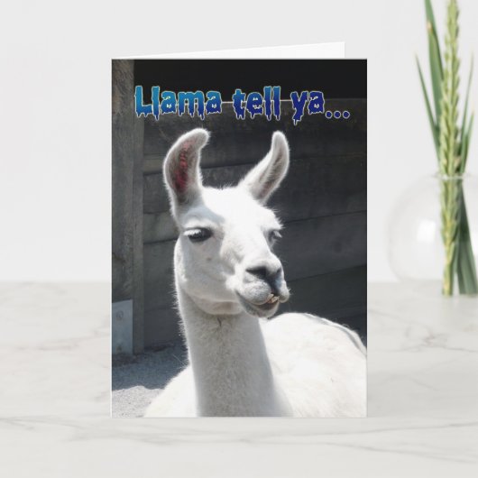 Grappig Llama Happy Birthday Wenskaart Kaart (Voorkant)