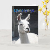 Grappig Llama Happy Birthday Wenskaart Kaart (Gele Bloem)