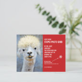 Grappig Llama Kerst Stomme Fotokaart Briefkaart (Staand voorkant)