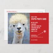 Grappig Llama Kerst Stomme Fotokaart Briefkaart (Voorkant / Achterkant)