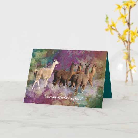 Grappig! Llamas walking on clouds Kaart (Gele Bloem)