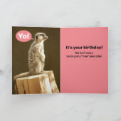 Grappig Meerkat: Kijk uit! Je bent een meer jaar o Kaart (Binnen)