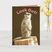 Grappig Meerkat: Kijk uit! Je bent een meer jaar o Kaart (Gele Bloem)