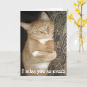 Grappig missend u de omhelzing van de wenskaartkat kaart (Gele Bloem)