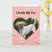 Grappig modderig hondje Ik heb je echt Valentijn g Kaart (Gele Bloem)