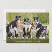 Grappig Modern Nieuw Adres Custom Pet Dog Foto Aankondiging (Voorkant)