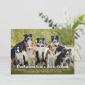 Grappig Modern Nieuw Adres Custom Pet Dog Foto Aankondiging (Staand voorkant)