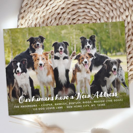 Grappig Modern Nieuw Adres Custom Pet Dog Foto Aankondiging