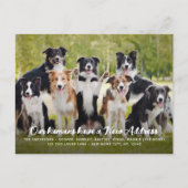 Grappig Modern Nieuw Adres Custom Pet Dog Foto Briefkaart (Voorkant)