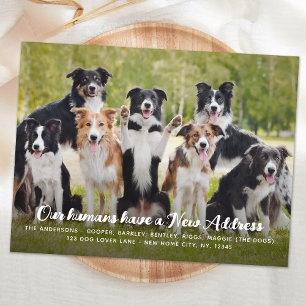 Grappig Modern Nieuw Adres Custom Pet Dog Foto Briefkaart