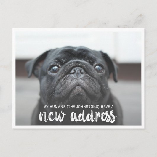 Grappig modern nieuw adres huisdier hond foto briefkaart (Voorkant)