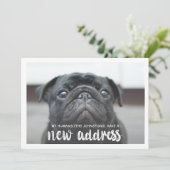 Grappig modern nieuw adres huisdier hond foto kaart (Staand voorkant)