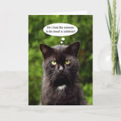 Grappig Moody Black Cat verjaardagskaart Kaart (Voorkant)